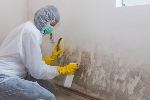 Best Mold Odor Removal Services  in Rkside, PA