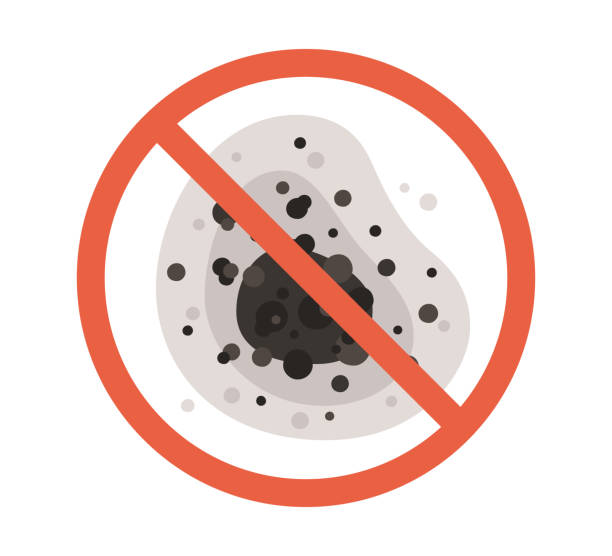 Best Black Mold Removal  in Rkside, PA