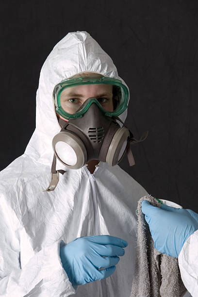 Best Water Damage & Mold Remediation  in Rkside, PA